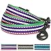 Blueberry Pet Reflective Dog Leash - Puppy Essentials, Gentle Leader for Dogs, Reflective Dog Collar & Leash, Eco-Friendly, Durable Nylon, Comfortable Handle for Active Pet Parents & Dogs That Pull