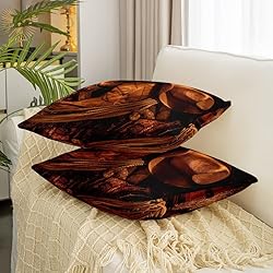 Western Decor Throw Pillow Covers 20"x20" Set of 2