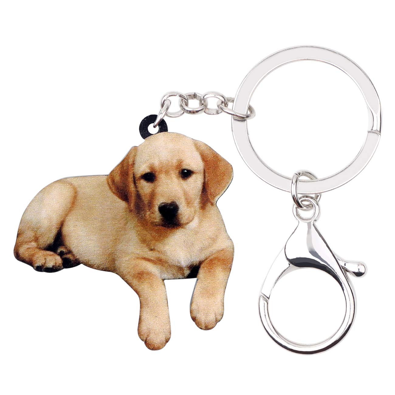 BONSNY Acrylic Labrador Keyring For Women Girl Dog Keychain Key Bag Phone Charm Jewellery Gift (Brown)
