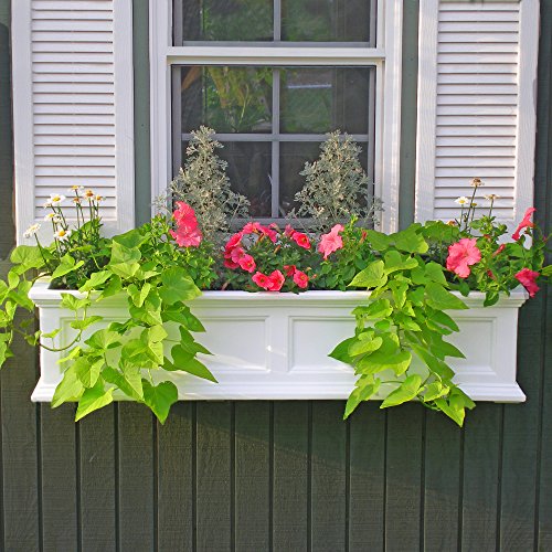 Mayne Fairfield Window Box Planter - Image 3