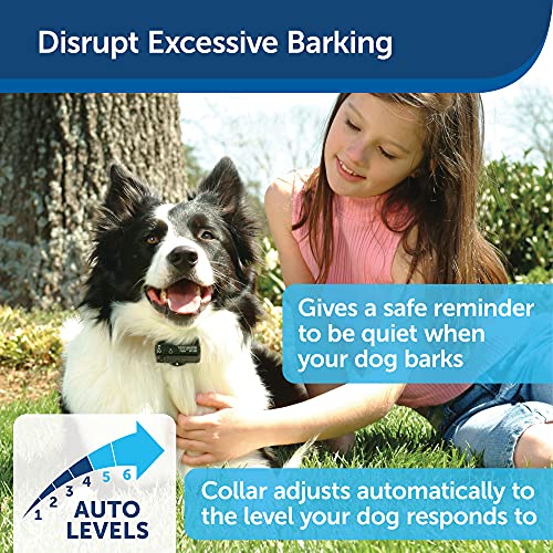 PetSafe Basic Bark Control Collar For Dogs 8 Lb. And Up, AntiBark