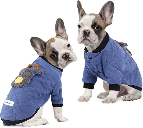 best small dogs for cold weather