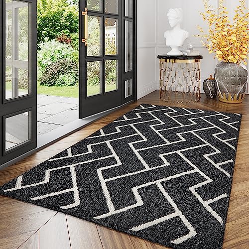 Biscpro Schmutzfangmatte 120 x180 cm, Rutschfestigkeit Fußmatte,Eingangstürmatte Türmatte für Hund,Außen Innen Garten,Teppich,Terrazzo,Haustür,Terrazz