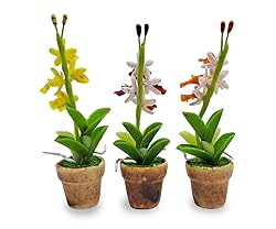 WitnyStore Tiny 2" High 3 Pieces Set Yellow Red