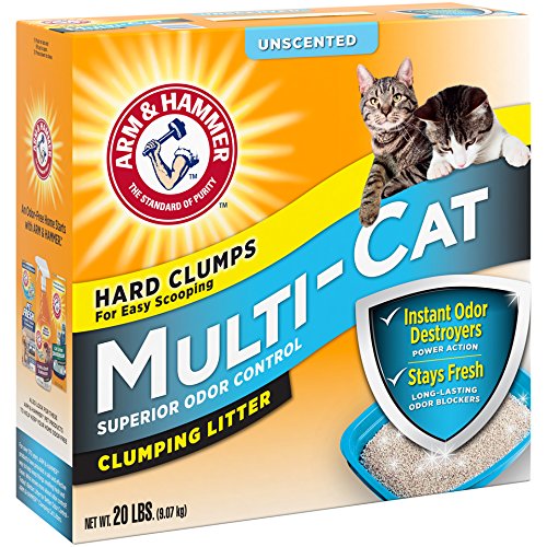 Arm & Hammer MultiCat Strength Clumping Litter, Unscented All Cat Things