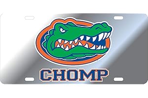 Elite Fan Shop NCAA Mirrored Acrylic License Plate Silver