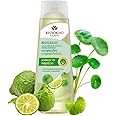 Herbal Hair Shampoo Natural Leech Lime and Centella power for Thick, Long and Healthy Hair Growth - Paraben Free - Sulfate Free NO Silicone, Volumizing Shampoo For Men and Women