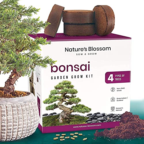 Nature's Blossom Bonsai Tree Kit 4 Types of Bonsai Seeds for Outdoor