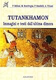 Image de Tutankhamon. Immagini e testi dell'ultima dimora