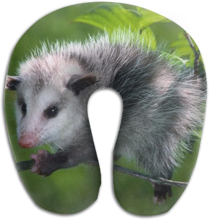 opossum pillow