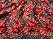 Milylace 5 Yards 3D Floral African Lace Fabric Nigerian Embroidered Mesh Lace Fabric with Beads for Wedding (Red)