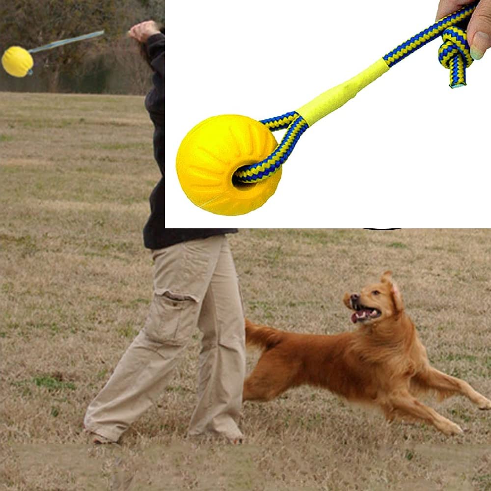 FANGHUIER Dog Rope Ball Ball on a Rope Dog Toy Natural Elastic Rubber Dogs Balls Chew Toys for Small Dogs（7cm）