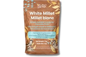 Chirp & Maple, White Millet, Wild Bird Food, 1KG