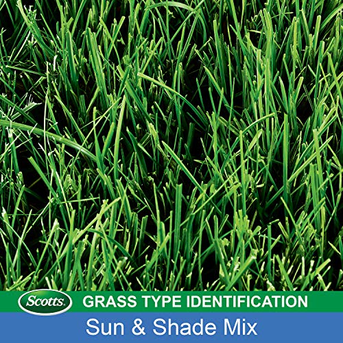 Scotts Turf Builder Sun and Shade Mix for Extreme Conditions including