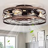 SHLUCE Caged Farmhouse Ceiling Fan with
