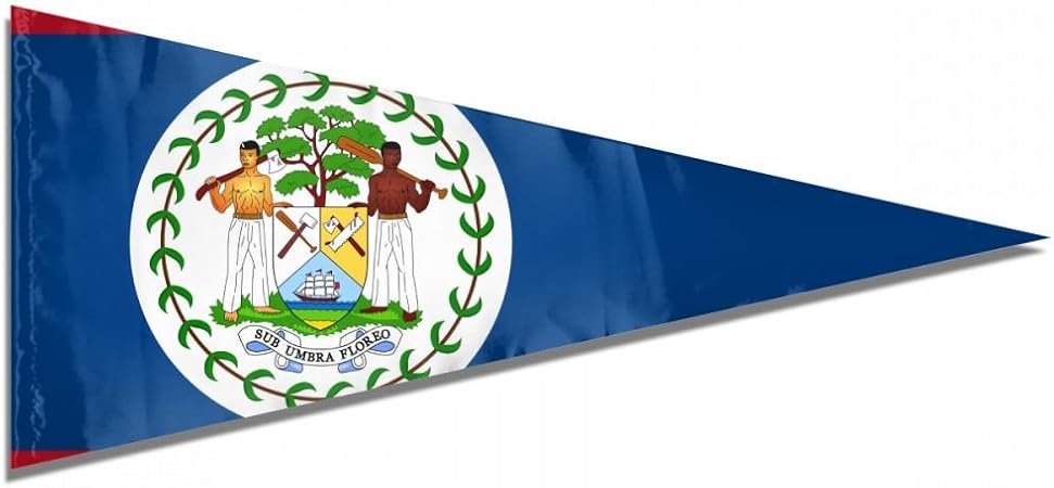 Amazon Com Flag Of Belize Premium Pennant Indoor Outdoor Banner