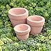 G & F Products G & F Garden Miniature Fairy Garden Tiny Pots (Set of 3), Orange …