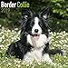 2024 2025 Border Collie Calendar - Dog Breed Monthly Wall Calendar - 12 x 24 Open - Thick No-Bleed Paper - Giftable - Academic Teacher's Planner Calendar Organizing & Planning - Made in USA