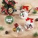 Auihiay 20 Pack 80mm Christmas Clear Ornaments Ball and Various Accessories for DIY Christmas Tree Balls Baubles Holiday Wedding Party Home Decorations