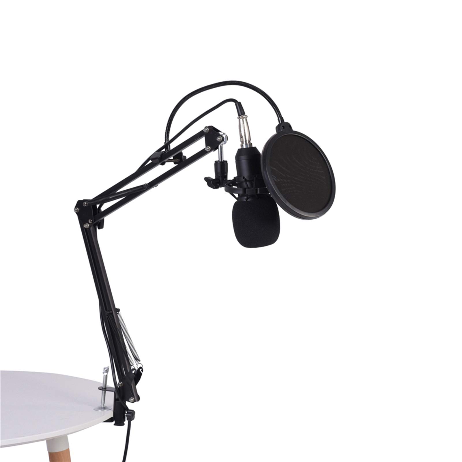 Wakects Wired Microphone Kit, BM800 Studio Condenser Microphone with Arm Stand, Pop Filter, Foam Cap, Recording Accessory, 15 x 4.6 cm