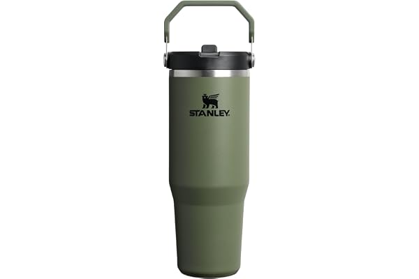 Stanley IceFlow 2.0 Flip Straw Tumbler with Handle 30 oz | Twist On Lid and Flip Up Straw | Leakproof Water Bottle | Insulate
