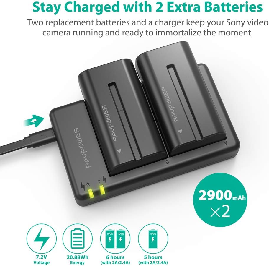 NP-F550 RAVPower Battery Charger for Sony NP F970, F750, F770, F960, F550, F530, F330, F570, CCD-SC55, TR516, TR716, TR818, TR910, TR917 and more (2-Pack Replacement Battery Kit, Dual Slot Charger): Camera & Photo