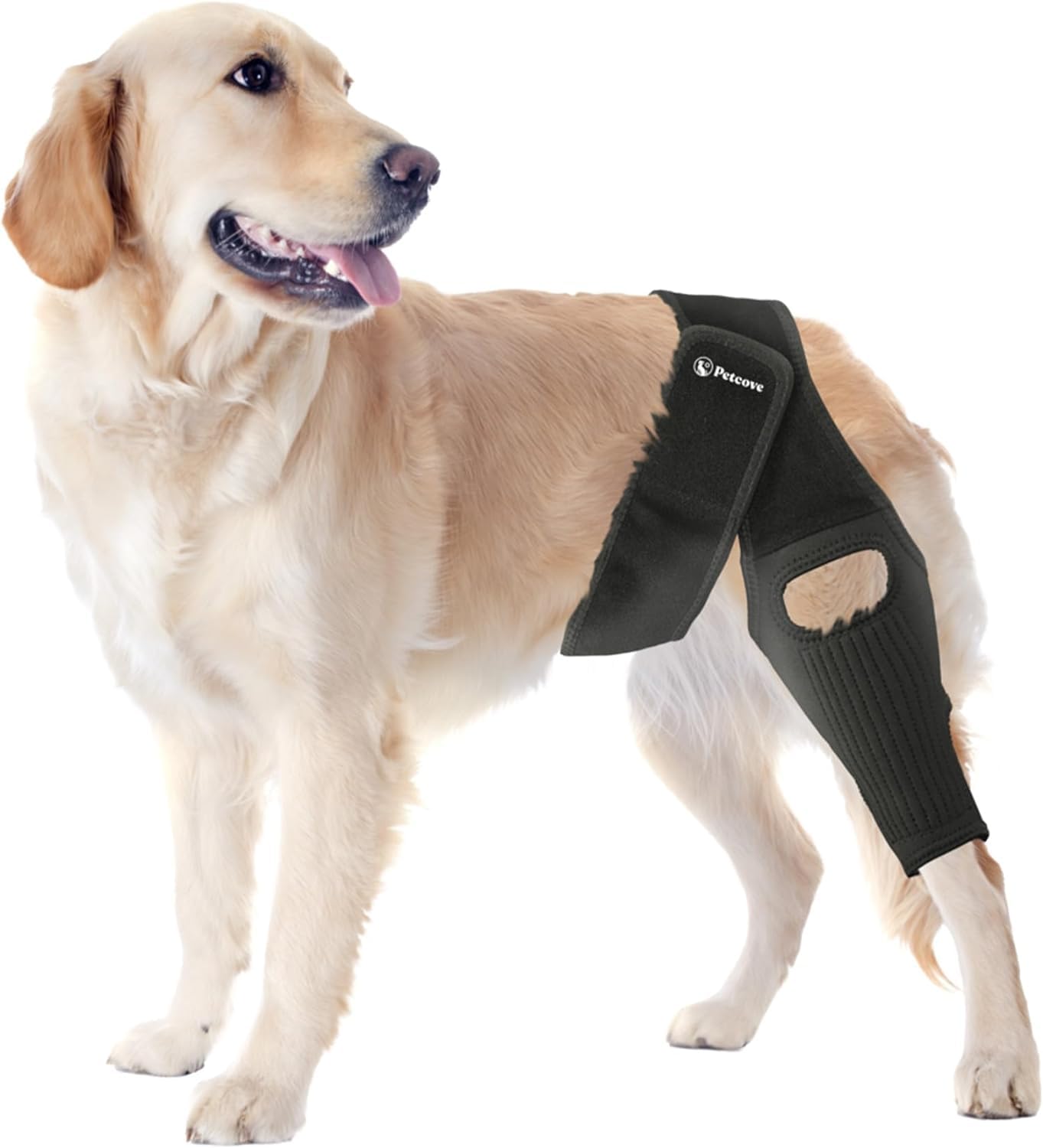 Photo 1 of Dog Knee Brace Dog Knee Brace for Torn Acl Hind Leg Dog Leg Braces for Back Leg Size Medium Dog Acl Brace Hind Leg Acl Brace for Dogs Rear Leg Dog Knee Brace for Luxating Patella
