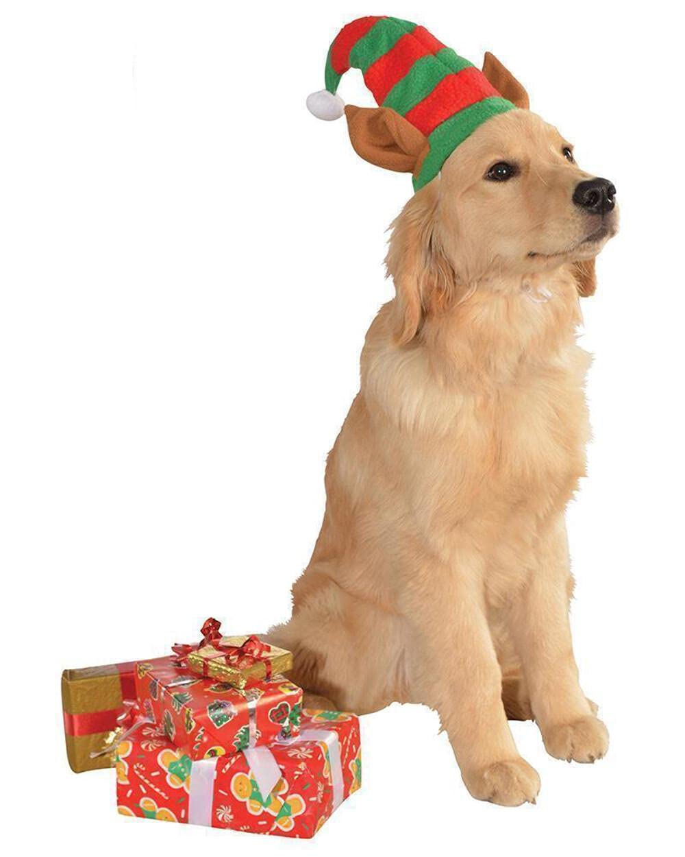 Rubie's Christmas Collection Pet Elf Hat with Ears, Medium to Large