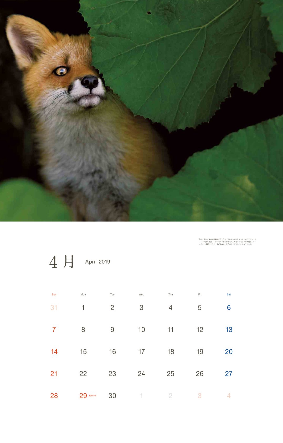 Amazon Co Jp カレンダー19 東京カメラ部 枻出版社 北のカムイ 命煌めく 野生動物 半田菜摘 文房具 オフィス用品