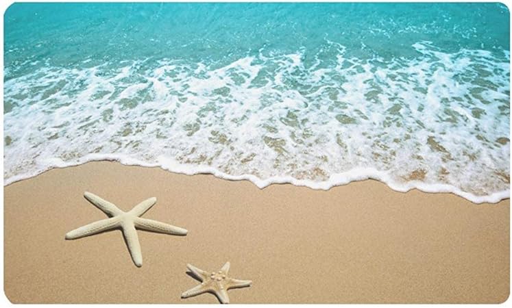 Laure Etoile De Mer Sur La Plage Sable Interieur Exterieur