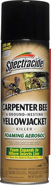 Spectracide Carpenter Bee And Ground Nesting Yellow Jacket Foaming Aerosol 16ounce Amazon Co Uk Garden Outdoors