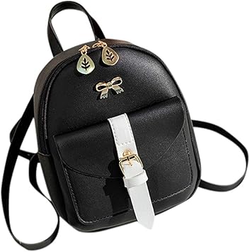 backpack for office lady
