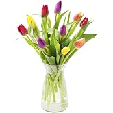 KaBloom-10 Assorted Tulip Bouquet,Flowers for Valentine, Mother's Day