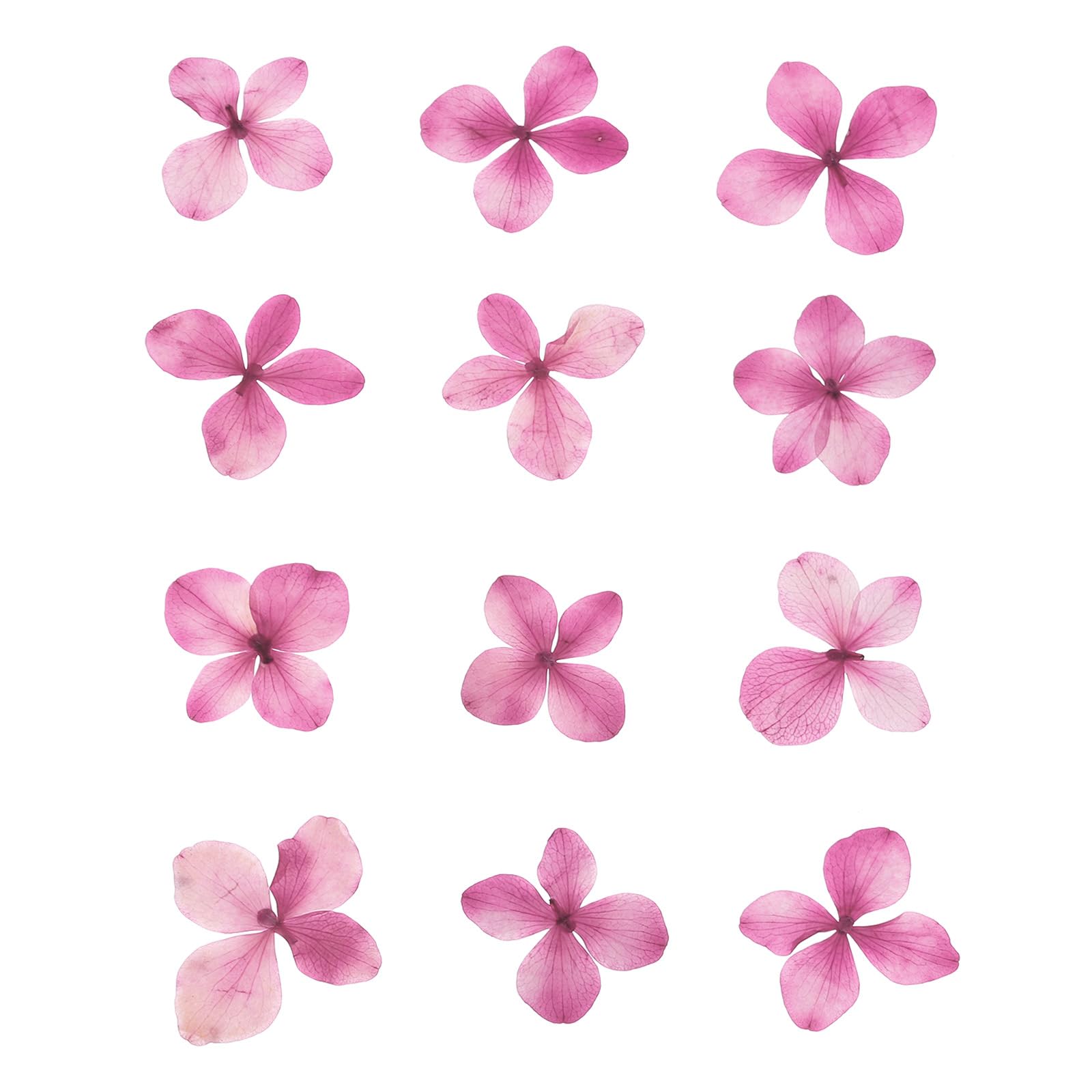 PATIKIL Dried Pressed Flower, 48 Pcs for Resin DIY Crafts Nail Art Cards Scrapbooking Jewelry Making Floral Decor Candle Decors, Purple Red