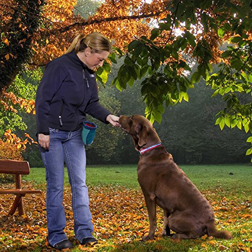 Kurgo Go Stuff-It Dog Treat Bag - Image 5