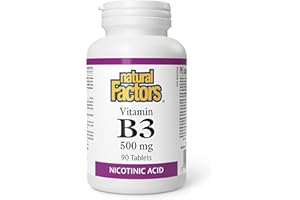NATURAL FACTORS B-3 Niacin 500Mg, 90 Count
