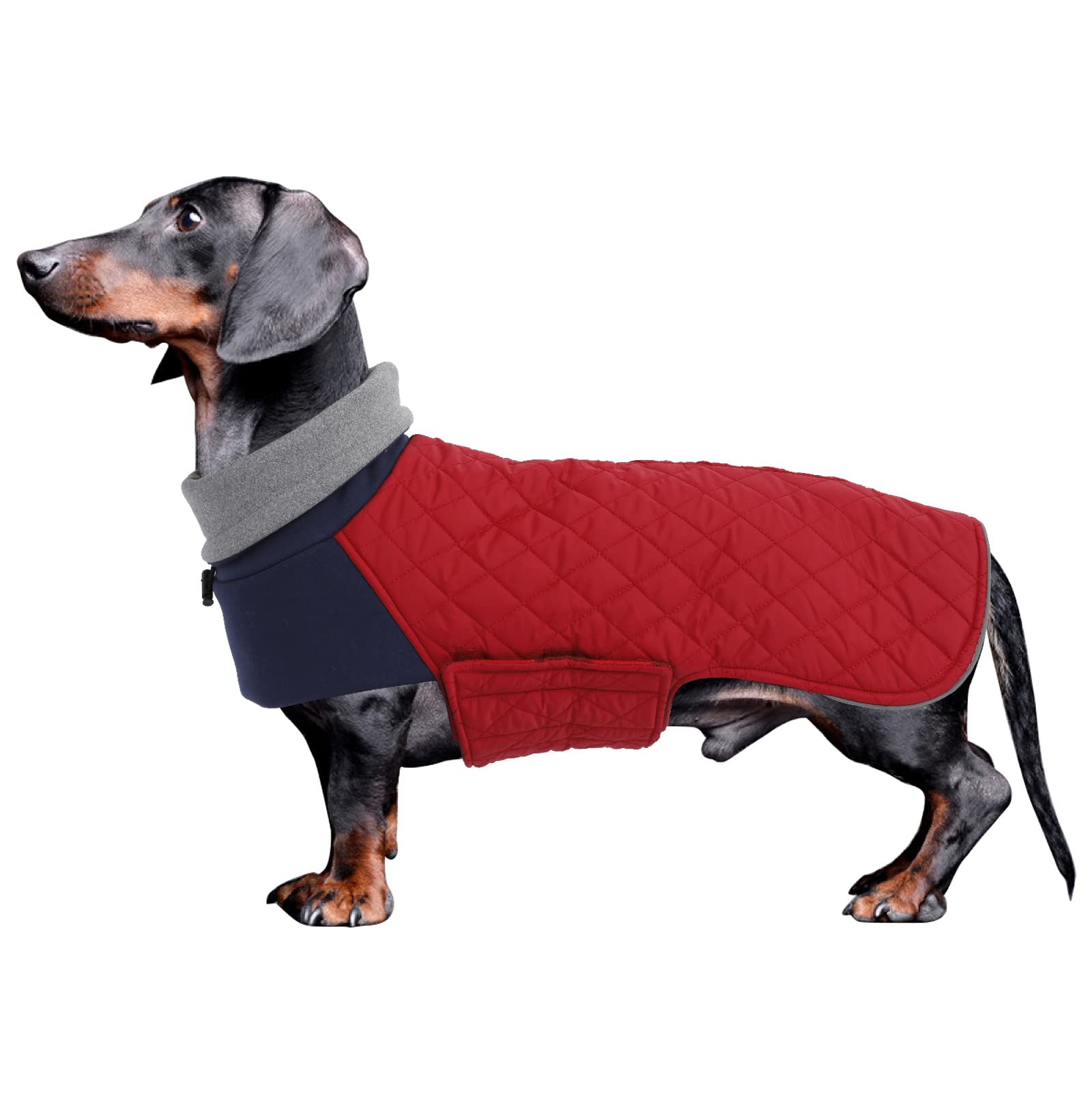 Geyecete Dachshund Coat,Dachshund Winter Coat,Warm Dachshund Coat Waterproof Windproof, High Neckine String Holes Miniature Dachshund jacket for Small Dog-Red-M