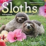 Sloths Wall Calendar 2016 by 