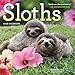 Sloths Wall Calendar 2016 by 