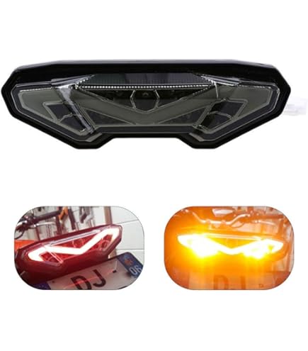 リングライト ZX14 ZX14R 06-20 Integrated LED Smoke Tail Light – Moto911.com