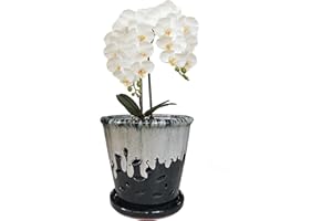 Fowargif Ceramic Round Orchid pots with Holes 6inch, Black Ceramic Orchid Pot with Saucer,Ceramic air Plant Pot with Holes,Butterfly Pot Saucer Windowsill Contemporary Home Decoration…