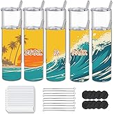 Kocdam 10 Pack 20 oz Sublimation Tumbler Blanks Skinny Straight Tumblers Bulk Stainless Steel Insulated Sublimation Tumblers 20oz with Lid and Straw, Gift Box