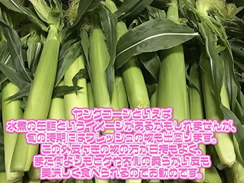 Amazon 徳島県産 皮付きヤングコーン 1箱50本入 とうもろこし コーン 新入荷 808青果店 とうもろこし 通販