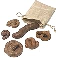 Cooplay 6pcs Poop Prank Toy Different Shapes Simulation Realistic Dog Poo Model Adult Pooping Favors Funny Joke Trick Stool Faeces with Package for Halloween April Fools' Day Party