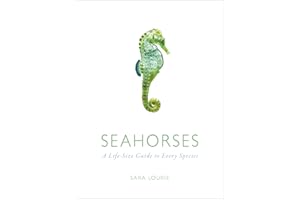 Seahorses: A Life-Size Guide to Every Species