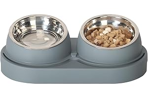 SAROSORA Cat Feeder Stainless Steel Bowl, Pet Food and Water Bowl Dishes, Easy to Clean