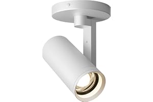 A AISILAN Aisilan White LED Zoomable Ceiling Spotlight 12W Dimmable Adjustable Beam Angle 10-55° Swivelable Angle CRI 97 Matt Aluminum Accent Lamp for Corridor Mural Living Room, Warm White 3000K