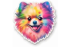 Yoonek Graphics Pomeranian Dog Vinyl Decal Sticker for Car Window, Laptop, and More. #1862Option48-4