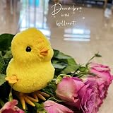 Aisszhao 2 PCS Rabbit Wind Up Toys Kids Clockwork Jumping Chick Easter Gift view 3
