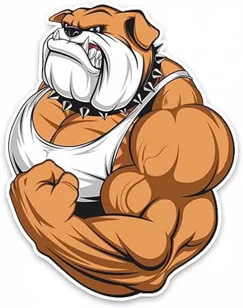 Amazon Gdyl 車のステッカーパーソナリティブルドッグフルカラーボディビルダー車のステッカーアクセサリーオートバイ日焼け止め防水pvc14cm 10cm ステッカー デカール 車 バイク